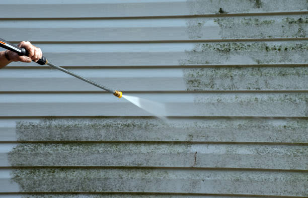 Best Residential Pressure Washing Services  in Flora, IL