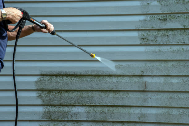 Deck Cleaning Services in Flora, IL