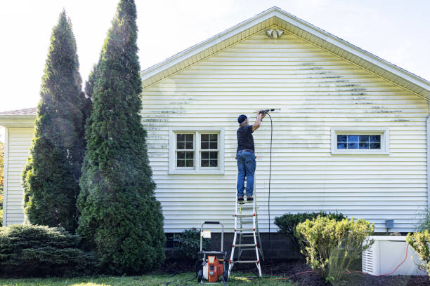 Best Exterior Home Cleaning  in Flora, IL