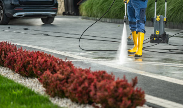 Best Affordable Pressure Washing  in Flora, IL