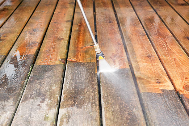 Best Fence Pressure Washing  in Flora, IL