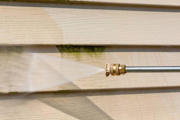 Best Affordable Pressure Washing  in Flora, IL